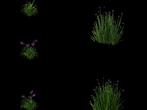 flowers - general weeds 01 3D-Modell