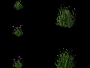 flowers - general weeds 01 3D Model