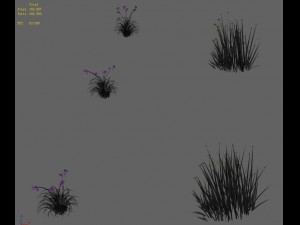 flowers - general weeds 01 3D-Modell