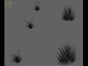 flowers - general weeds 01 3D Model