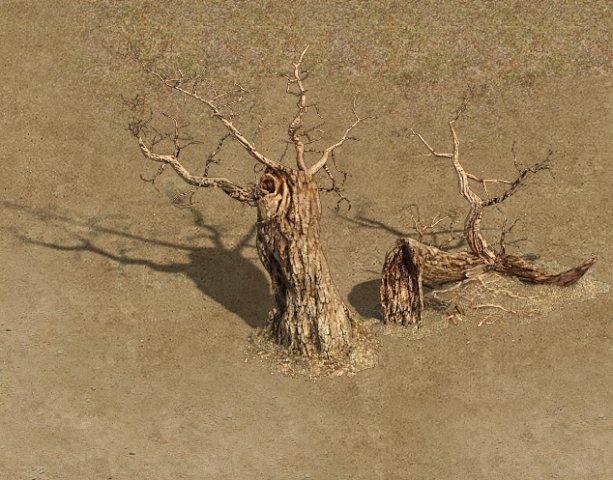barracks - desert dead tree 01 3D Model .c4d .max .obj .3ds .fbx .stl .blend 