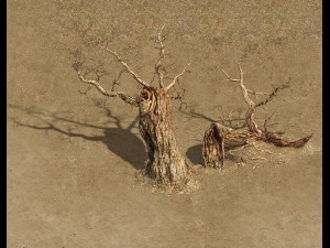 barracks - desert dead tree 01 3D Model