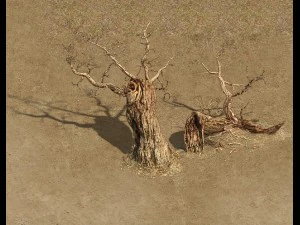cuartel - &aacute;rbol muerto del desierto 01 Modelo 3D