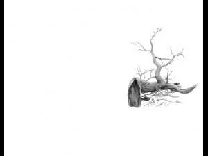 barracks - desert dead tree 01 3D Model