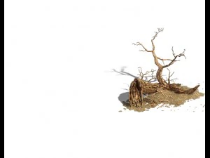 barracks - desert dead tree 01 3D Model