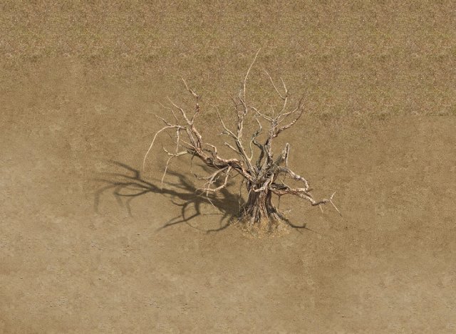 barracks - desert dead tree 02 3D Model .c4d .max .obj .3ds .fbx .stl .blend 