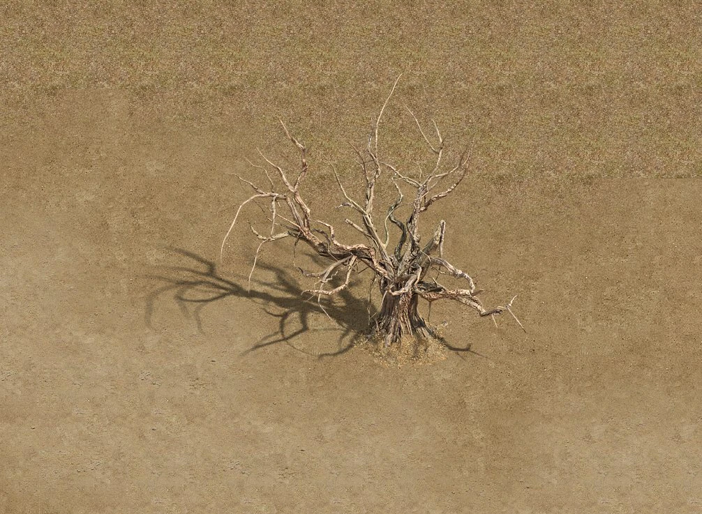barracks - desert dead tree 02 3D Model .c4d .max .obj .3ds .fbx .stl .blend
