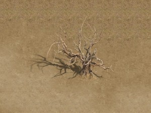 barracks - desert dead tree 02 3D मॉडल