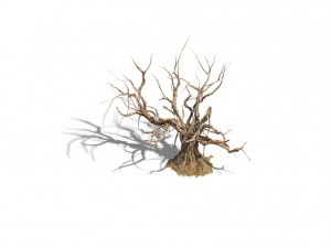 barracks - desert dead tree 02 3D Model