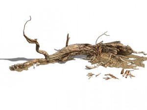 barracks - desert dead tree 03 3D Model