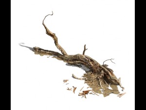 barracks - desert dead tree 03 3D Model