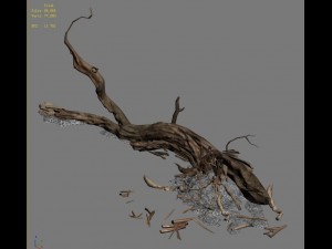 barracks - desert dead tree 03 3D Model