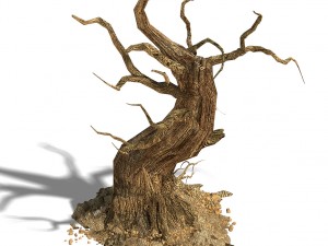 barracks - desert dead tree 05 3D Model