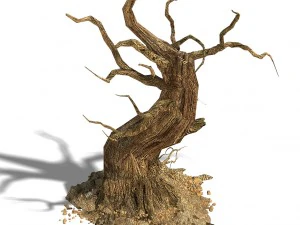 cuartel - &aacute;rbol muerto del desierto 05 Modelo 3D