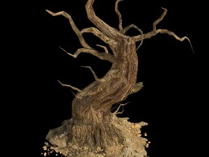 barracks - desert dead tree 05 3D Model