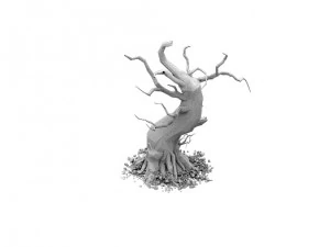 barracks - desert dead tree 05 3D Model