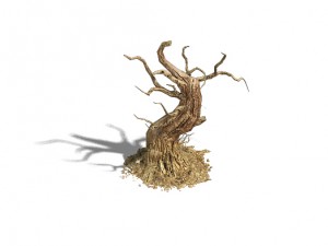 barracks - desert dead tree 05 3D Модель
