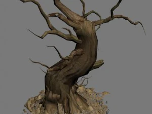 barracks - desert dead tree 05 3D Model