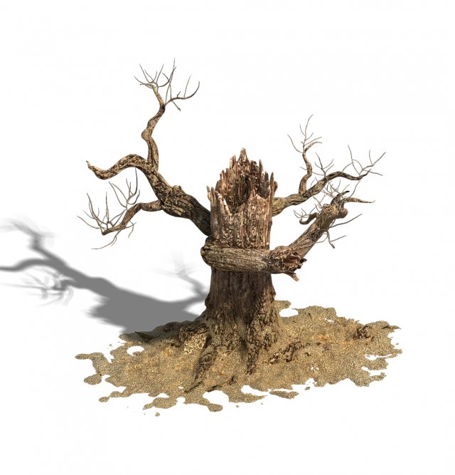 barracks - desert dead tree 06 3D Model .c4d .max .obj .3ds .fbx .stl .blend