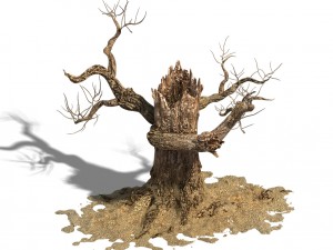 barracks - desert dead tree 06 3D Model