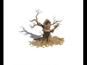 barracks - desert dead tree 06 3D Model
