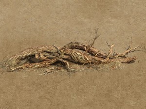 barracks - desert dead tree 07 3D 모델