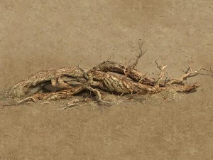 cuartel - &aacute;rbol muerto del desierto 07 Modelo 3D