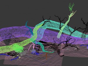 barracks - desert dead tree 07 Modello 3D
