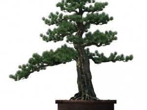 alchemy - experience tree 3D Model