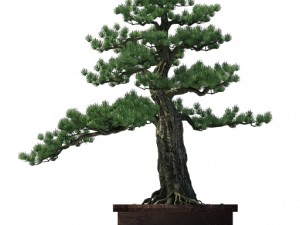 alchemy - experience tree 3D Model