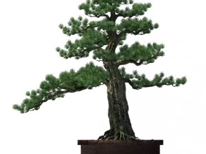 alchemy - experience tree 3D Model