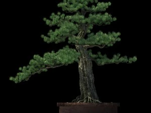 alchemy - experience tree 3D Model