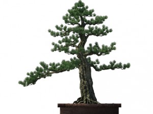 alchemy - experience tree 02 Modèle 3D
