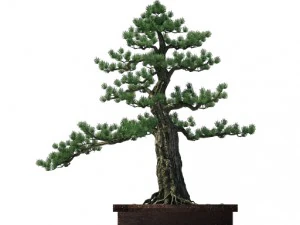 alchemy - experience tree 02 3D Model