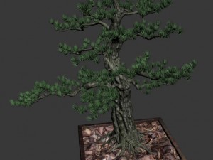 alchemy - experience tree 02 Modello 3D