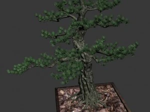 alchemy - experience tree 02 3D Model