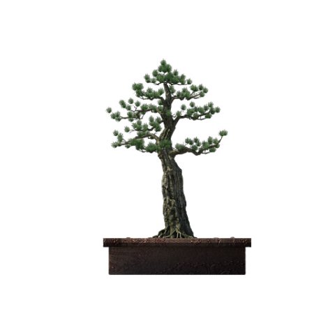 alchemy - experience tree 03 3D मॉडल .c4d .max .obj .3ds .fbx .stl .blend
