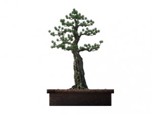 alchemy - experience tree 03 3D Model