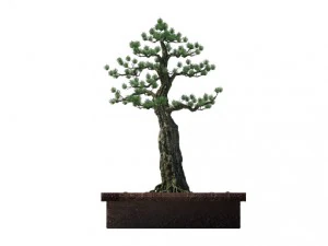 alchemy - experience tree 03 3D Model