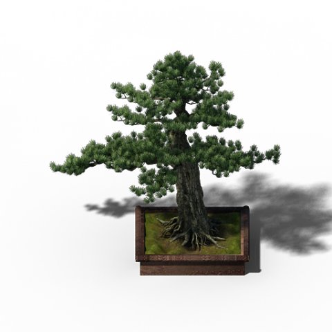 alchemy - experience tree 04 3D Model .c4d .max .obj .3ds .fbx .stl .blend 