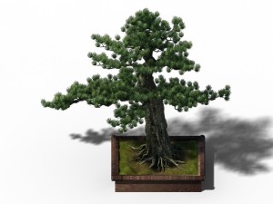 alchemy - experience tree 04 3D Model
