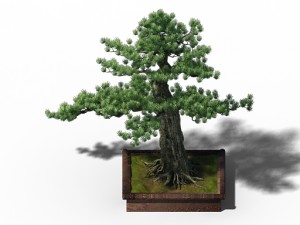 alchemy - experience tree 04 3D Model