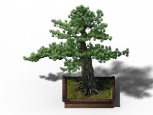 alchemy - experience tree 04 3D Model