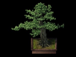 alchemy - experience tree 04 3D Model