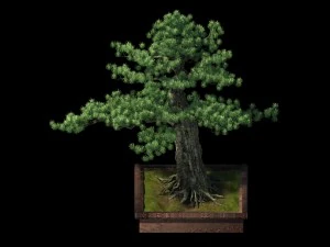 alchemy - experience tree 04 3D Model
