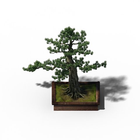 alchemy - experience tree 05 3D Model .c4d .max .obj .3ds .fbx .stl .blend 