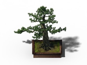 alchemy - experience tree 05 3D Model