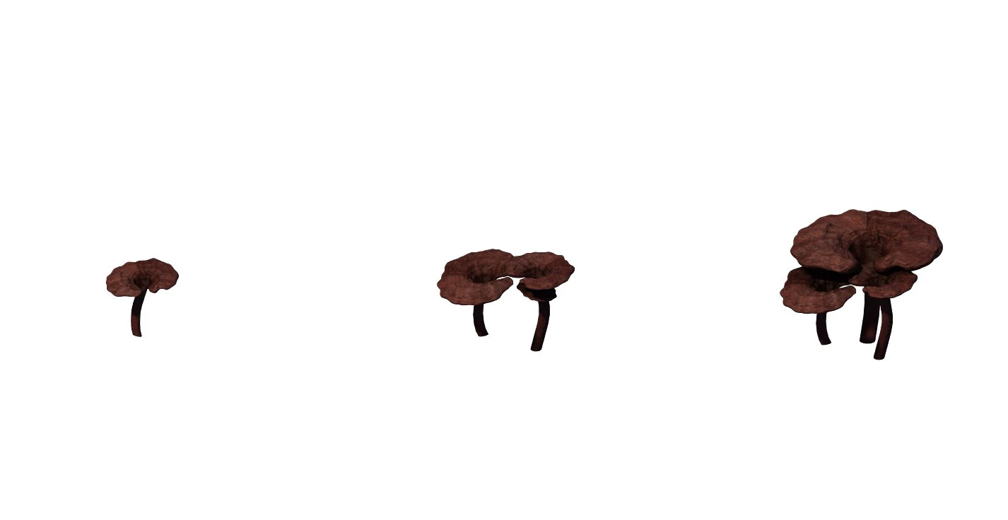 alchemy - ganoderma lucidum 02 3D Model .c4d .max .obj .3ds .fbx .stl .blend