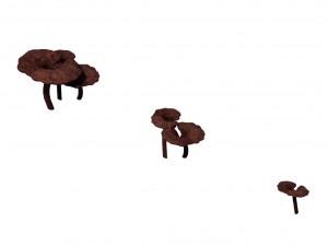 alchemy - ganoderma lucidum 02 3D Model