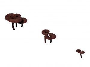 alchemy - ganoderma lucidum 02 3D Model